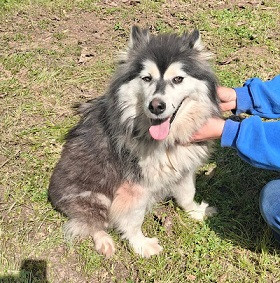 Adopter Tammy
