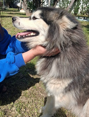 Adoption Tammy