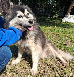 Adoption Tammy