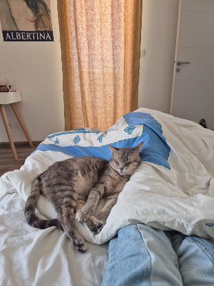Adopter Asmar