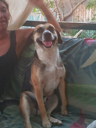 Adoption Noname