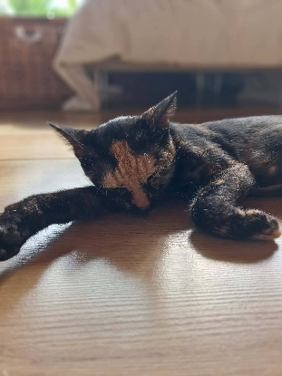 Adopter Prada