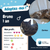 Bruno