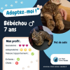 Bebechou