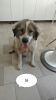 Olympe