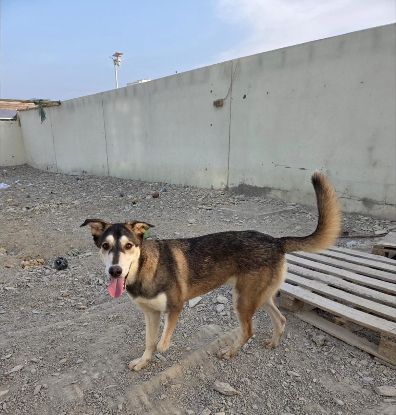 Adopter Maria