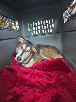 Adopter Maria