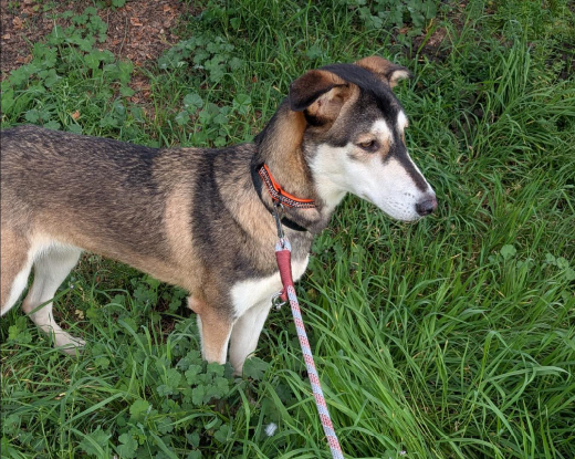 Adoption Maria