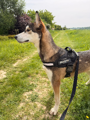 Adoption Maria