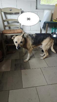 Adopter Debussy