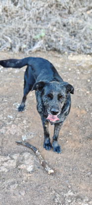 Adopter Andrea