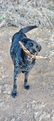 Adopter Andrea