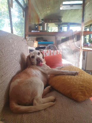 Adoption Mistral