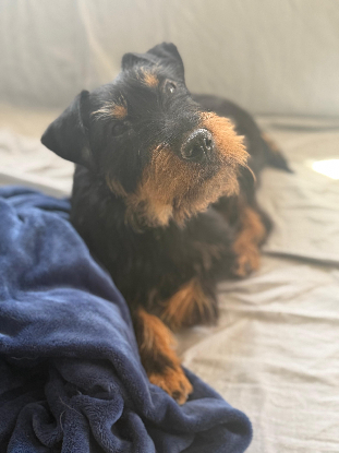 Adopter Valeria