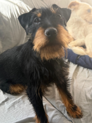 Adopter Valeria