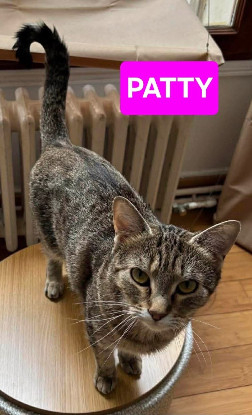 Adopter Patty et selma