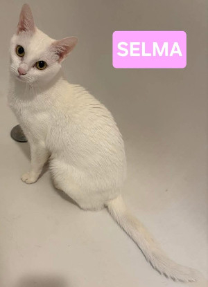 Adopter Patty et selma