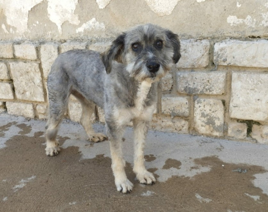 Adopter Carla