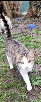 Adopter Betty