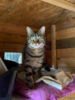 Adopter Sally