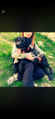 Adopter Lotus
