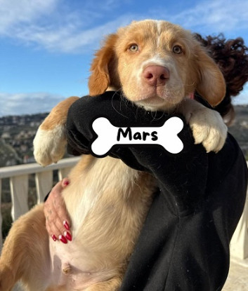 Adopter Mars