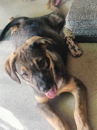 Adoption Hijo