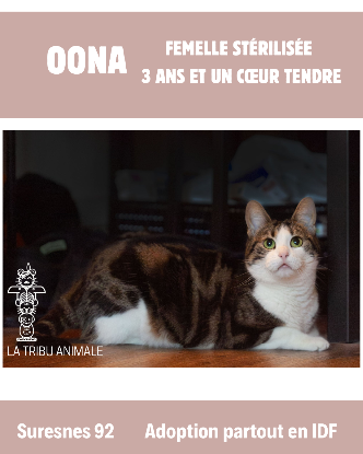 Adoption Oona