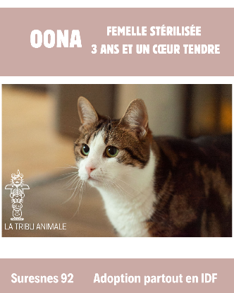 Adopter Oona