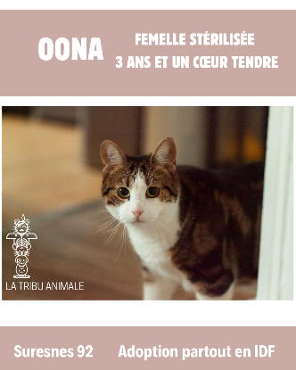 Adopter Oona