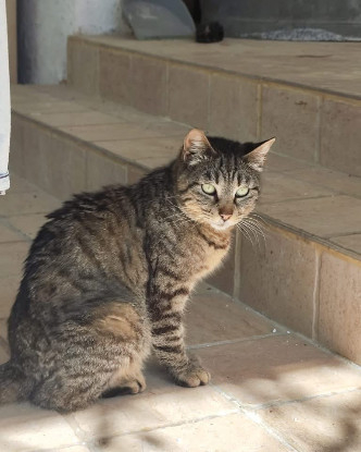 Adopter Madeleine