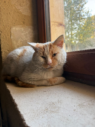 Adopter Thanos