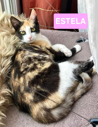 Adopter Estela et ophelia