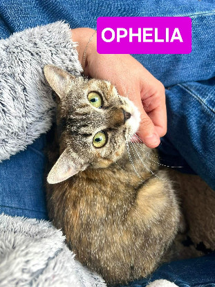 Adopter Estela et ophelia