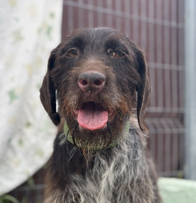 Adopter Marisol