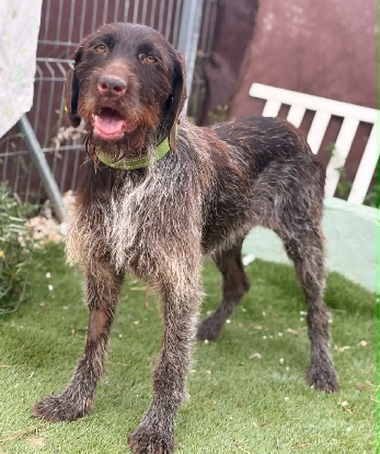 Adopter Marisol