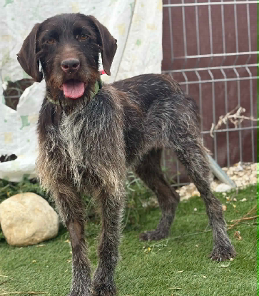 Adoption Marisol