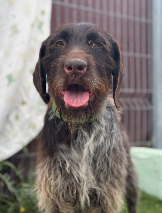 Adoption Marisol