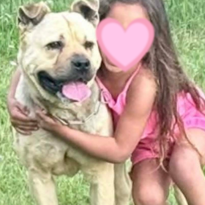 Adoption Rox