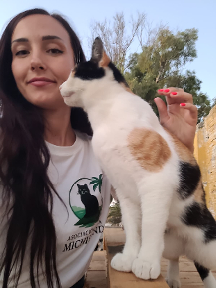 Adopter Pili