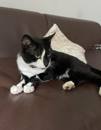 Adopter Bouty