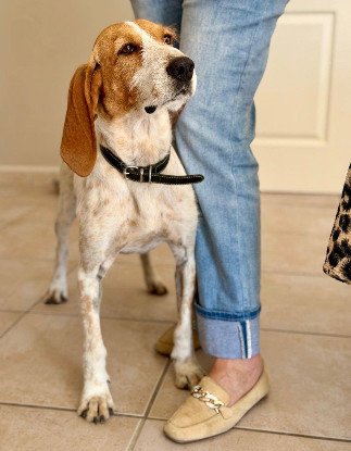 Adopter Marley
