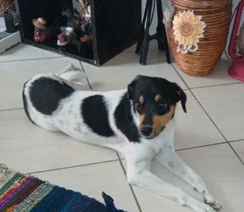 Adopter Arielle