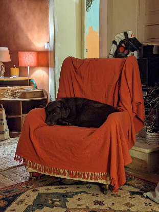Adopter Milka