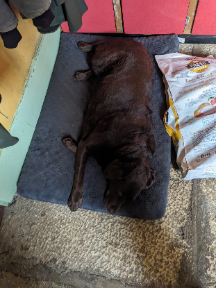 Adoption Milka