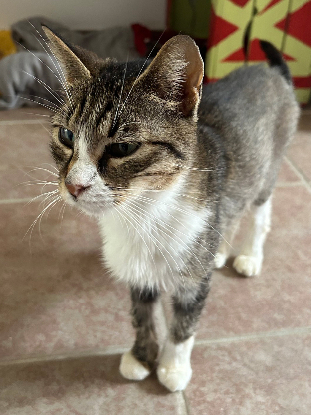 Adopter Blanche neige