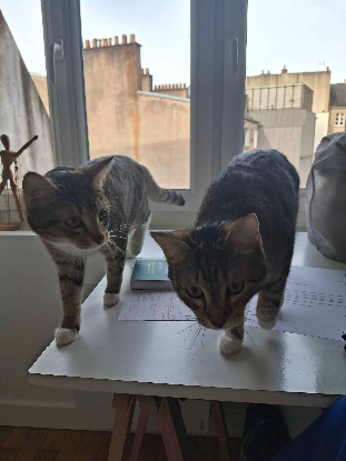Adopter Baya & lexie