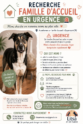 Adopter Mimi