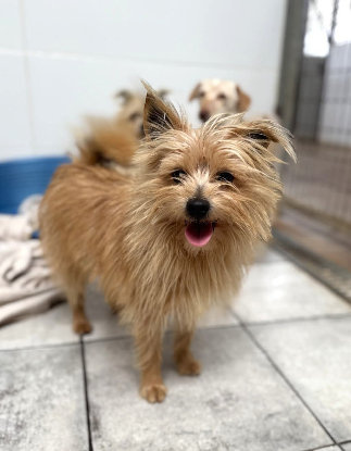 Adopter Zach