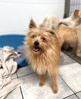 Adoption Zach